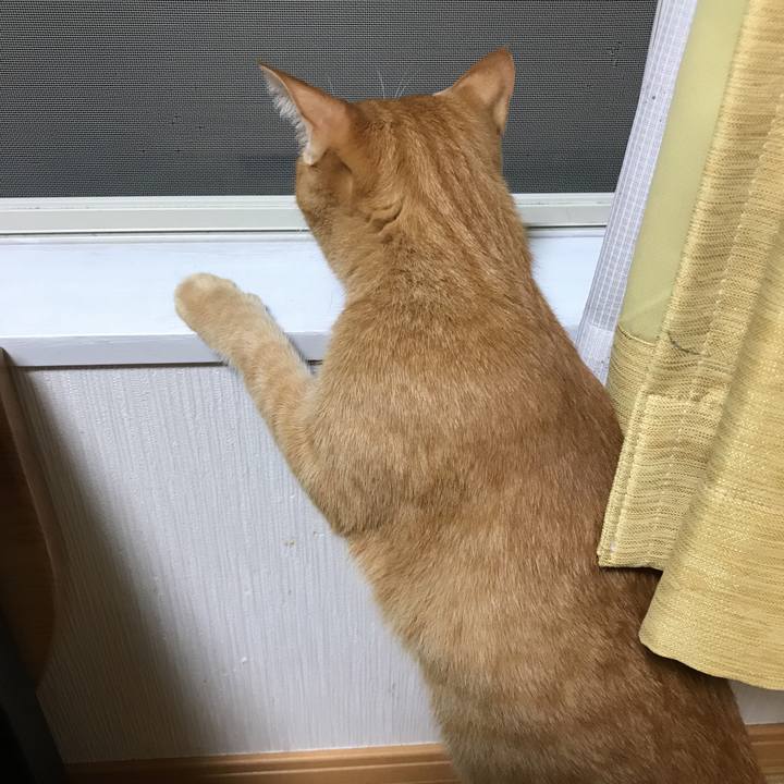 6b42d504 7f73 4d8b b5dd dfbfc8949c9b 1537436507012