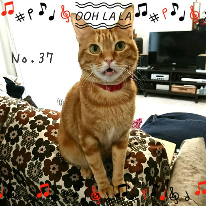 6b42d7b5 e35e 4752 bc6f c6e994e524c7 1521025855436