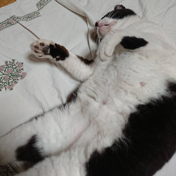 6b42d95c 5fb8 4b6b afd4 35d66d85b5cb 1631488944228