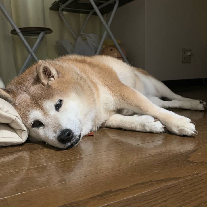 6b430dbf 0390 49d0 8eca 9eaee885df9e 1600602509493