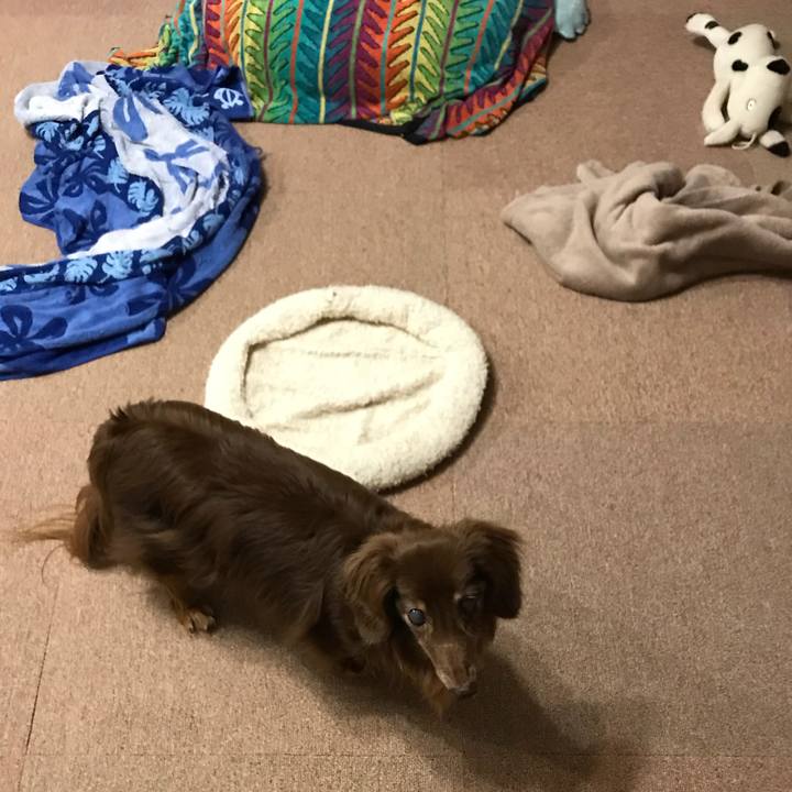 6b4318a6 a17e 4be4 ba8b 2dd79ebdd8cb 1529064652323