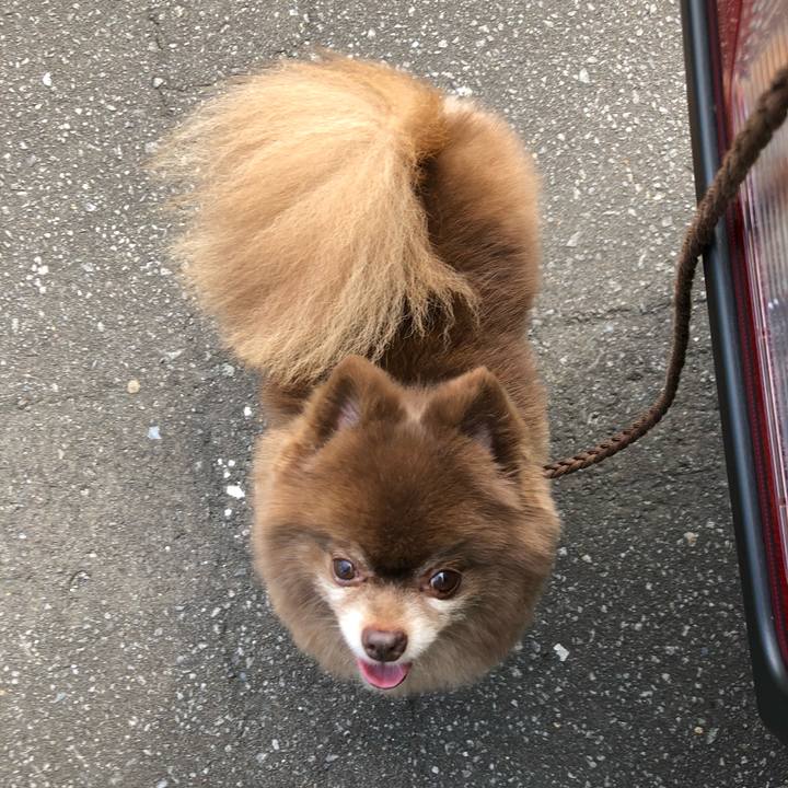 6b4329af cefc 4870 a763 b56f289b20c9 1567651857568