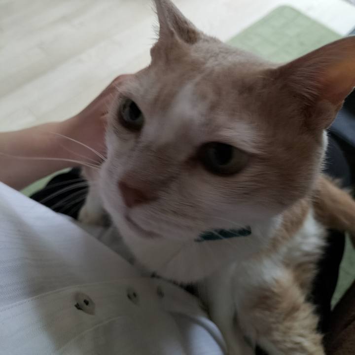 6b434347 38ce 4d7a a33f ea8cdca265cd 1650237545022