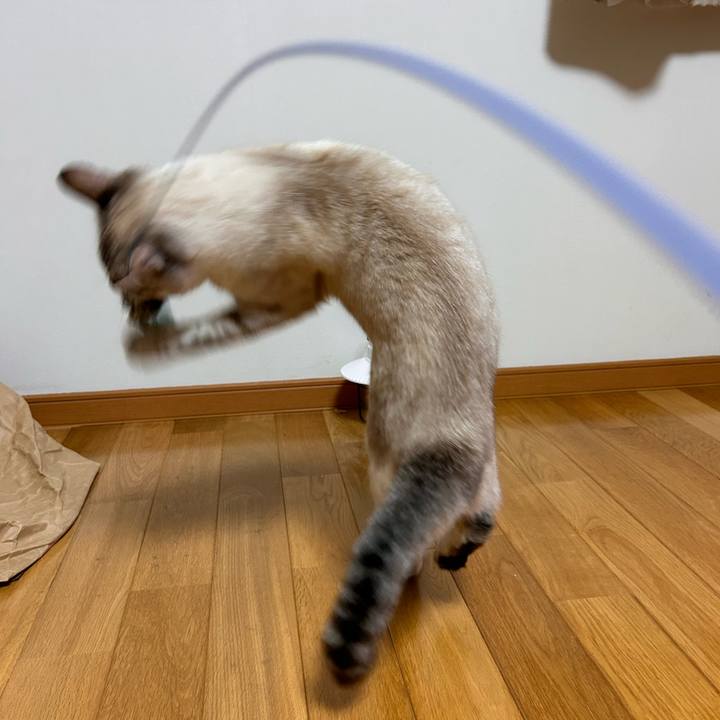 6b436d3b 11d3 4dd6 8a1f e50adb7d9212 1752501294460