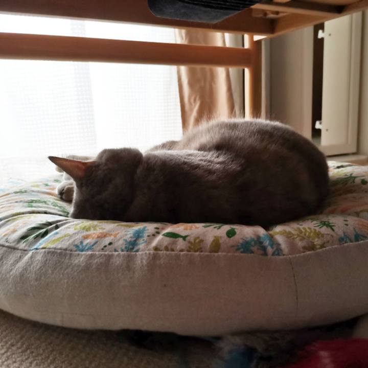 6b439bbe 14ff 4e6b aa46 eb5eec292bc9 1599898375711