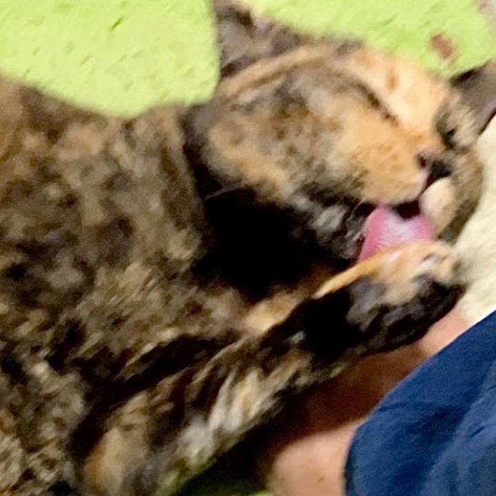 6b43ff49 7356 4fae a348 6569372f37ec 1730021644597