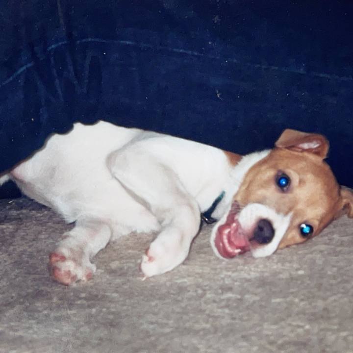 6b44333f 479a 4429 924a f83b46420ff3 1668205471728