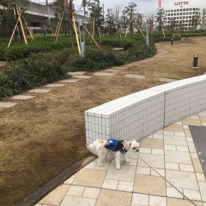 6b44926f 7357 49f9 a9f4 3ffd589d8c73 1512127682266