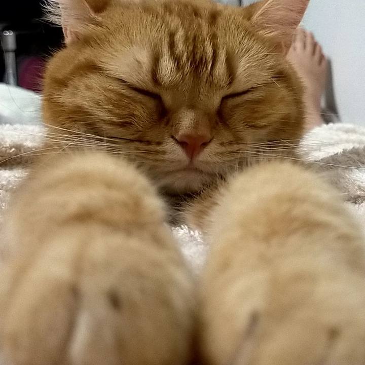 6b4494ca 19fc 49c0 a6f1 f82eaf71402b 1598226012757