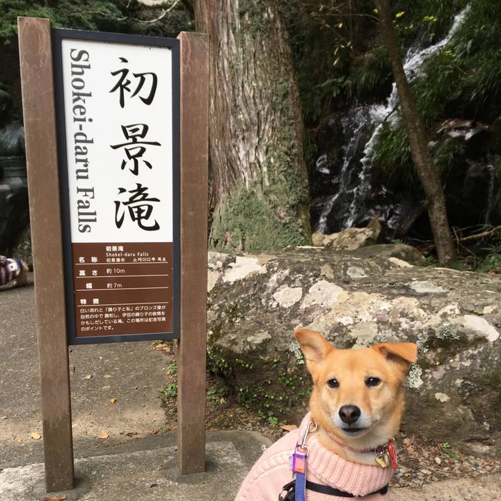 6b44a157 1fd5 487f b104 d2d93f5982f2 1544431890037