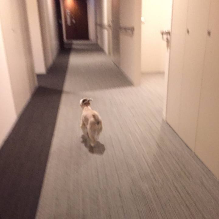 6b44bf4d 63be 4652 b2b2 1bd93fd9f459 1562065639585