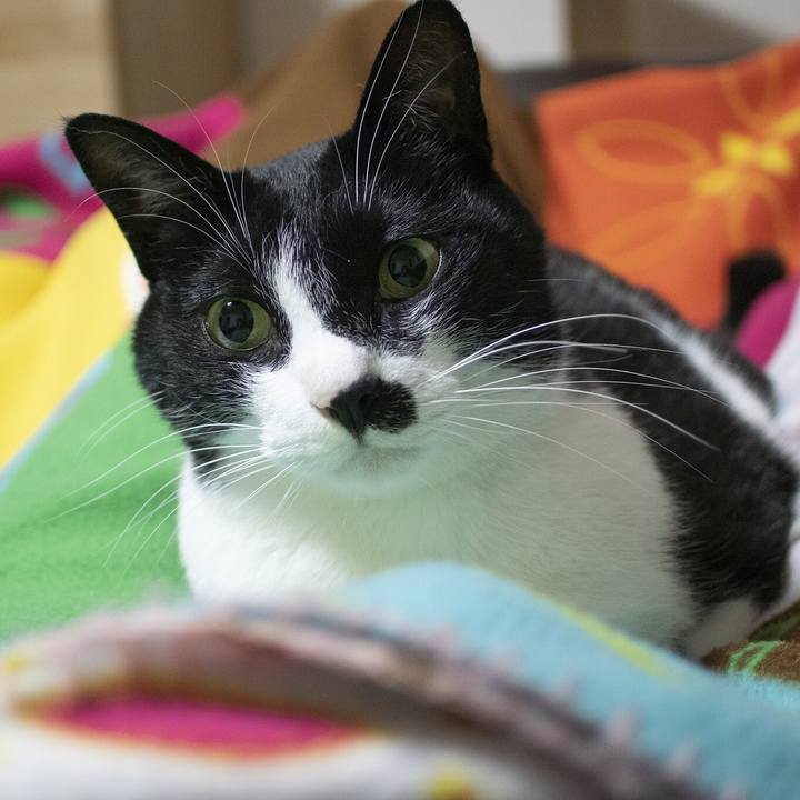 6b44c68d 0cb6 4b2f a7e2 0c5e269aea49 1556072746787