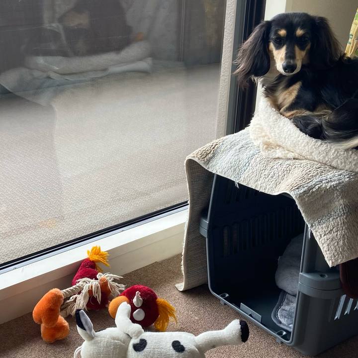 6b44dbe2 192f 4789 ab88 3ec2c073e93f 1707009182368