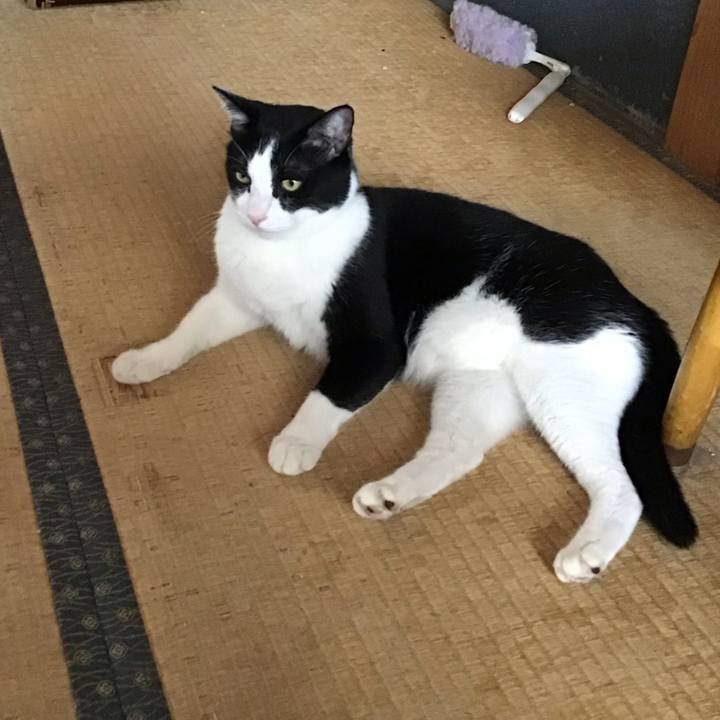 6b44dcbc 1cc8 41d2 92d1 37b1f82dfaa0 1756177251955