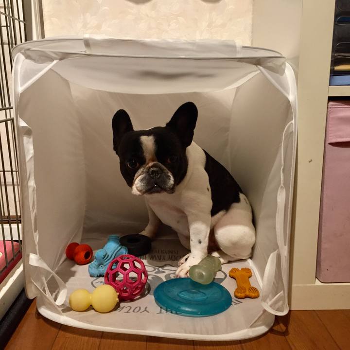 6b44e493 b054 4d14 b2e1 1566151f6ce9 1542022637281