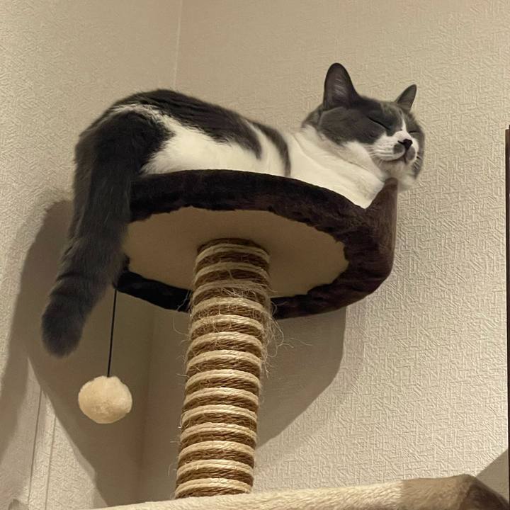 6b44e9d3 8b5f 4cab a8ec 28a4b7974795 1699869664943