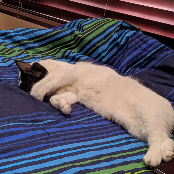 6b44ede1 ed5e 4525 ba9a 78bb75ef58cb 1591637834868