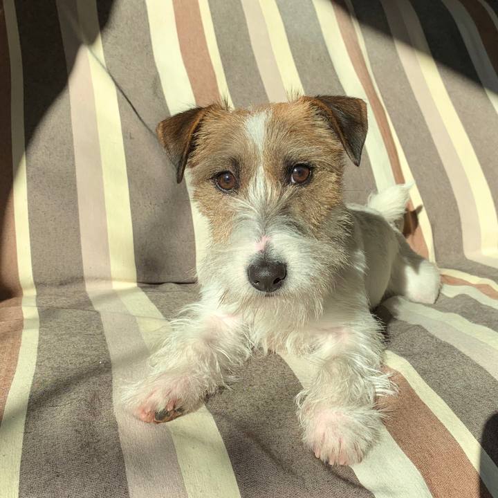 6b4503fb d4d2 4ec7 8c42 aae380c4a175 1580343510850