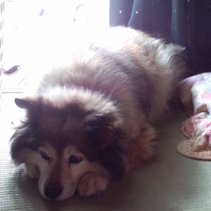 6b453988 d6d3 478e b1d0 af598805f37f 1572771227376