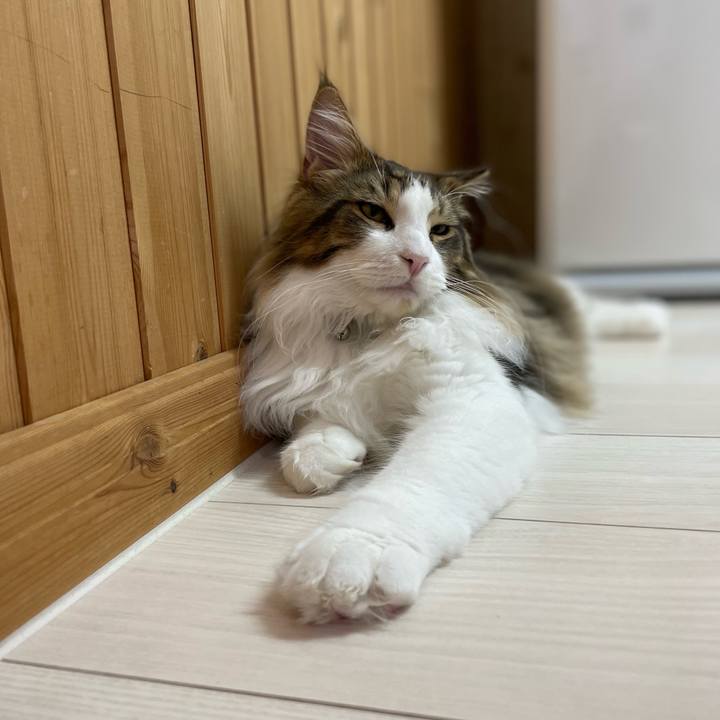 6b4561c0 f889 4b78 aeda c9c80f4bab95 1643706490745