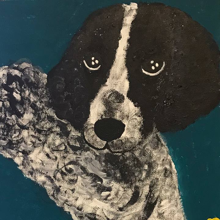 6b456389 ca64 4423 95f3 f88af4bbb592 1564662085771