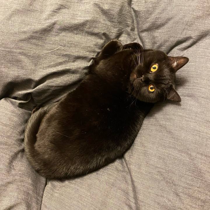 6b45645b 516e 4ae6 a0ab cc4fba52b340 1680527201152