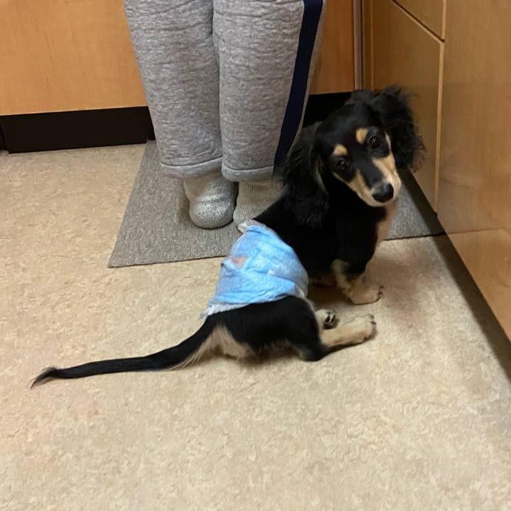 6b45697d aa78 4a42 b2ca 5fc5062061de 1668337693122