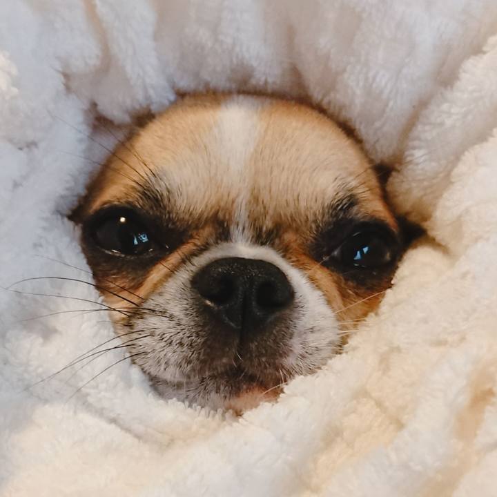 6b459b5f ce4c 49b1 a572 6e6f2e665fdc 1570748801072