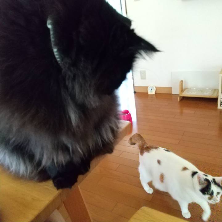 6b45d614 492a 4313 8f1b 96112457ba2f 1660690449216