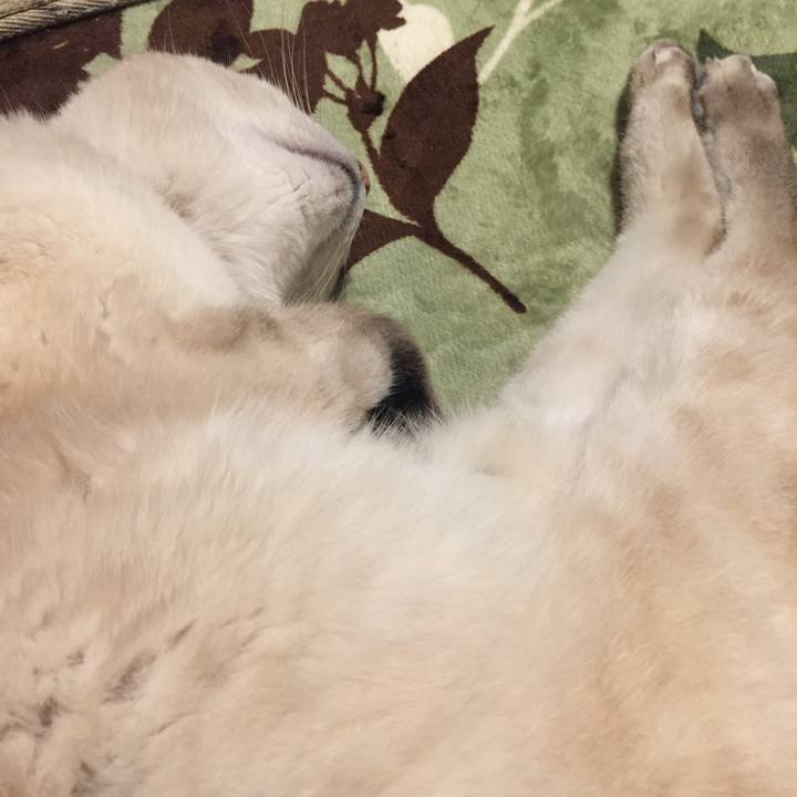 6b45e49c 3f72 4cb8 8e1a e7aad2853570 1579350824296