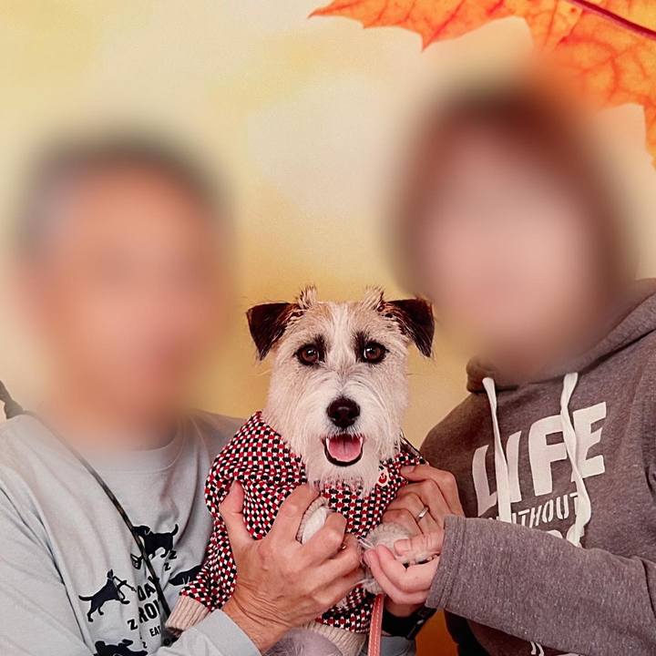 6b45f0a1 5dad 4c7c b91d 4bfa993835f4 1670675789613