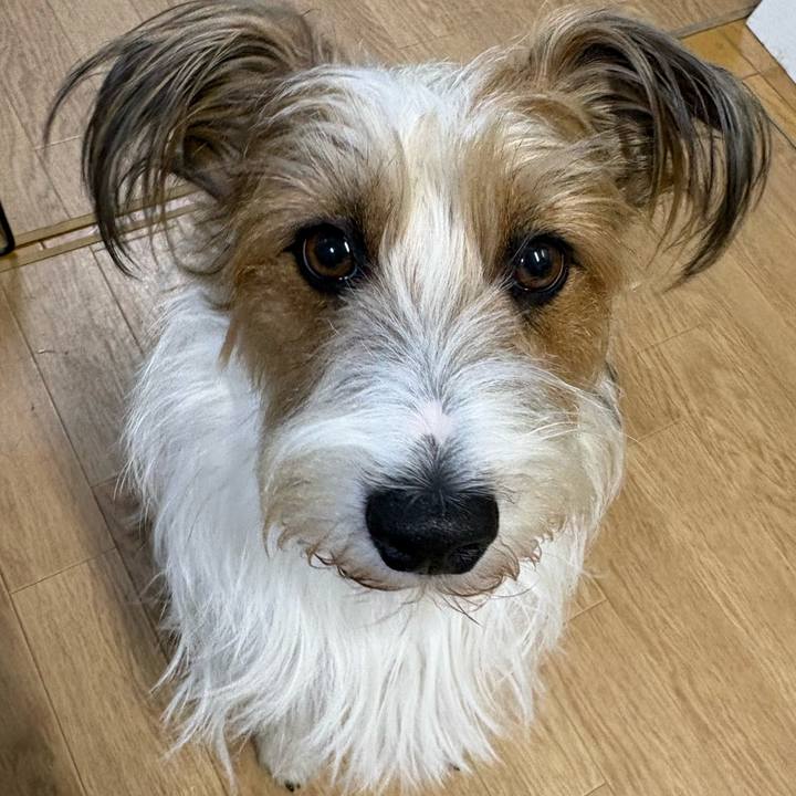 6b45f293 7894 484b 8de3 419b82d7cd7c 1773564715477