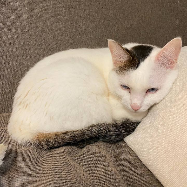 6b45f4a3 2cdc 4b78 9870 b8c7aa07691f 1669505099474