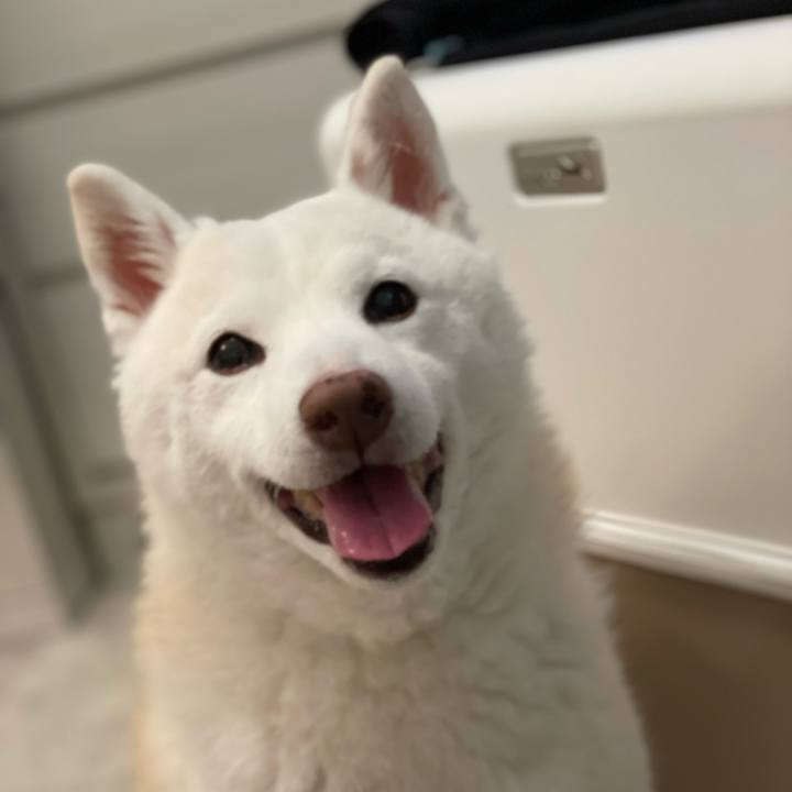 6b4629a7 1033 417e bfcc 8ed19fb4c451 1747741290767