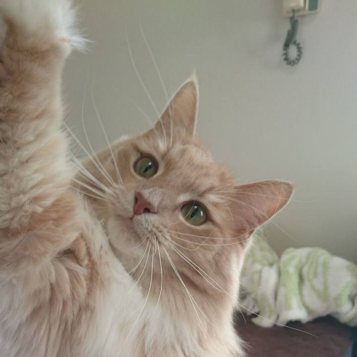 6b46309a 59e5 4d75 abbf 3aa8ede0ee5b 1513918496498