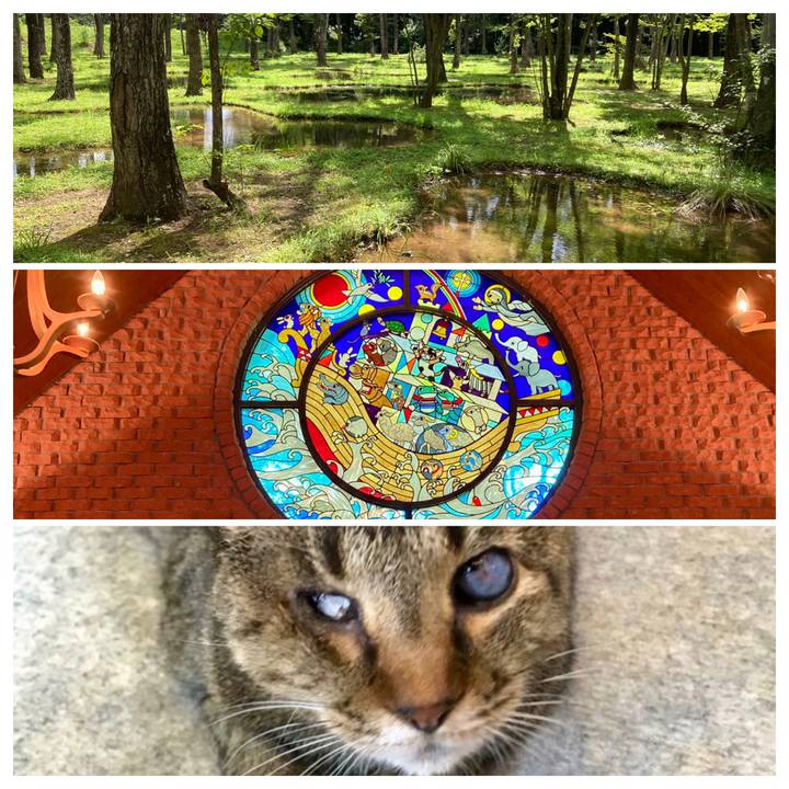 6b463f0a 08fd 49e2 b970 057667a5a059 1692048480537