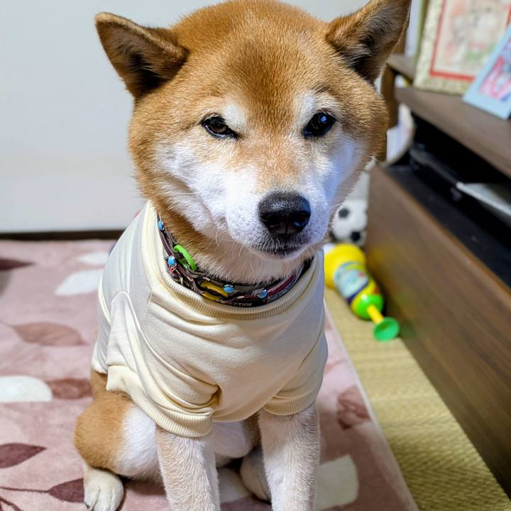 6b464db7 0a20 4ddf be1f 97a50777c078 1773475527146