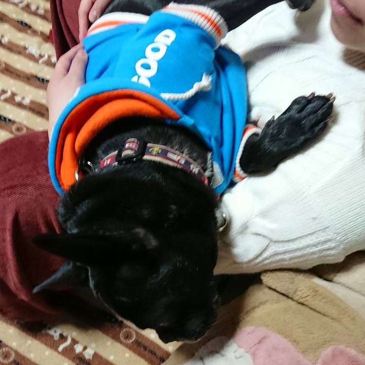 6b469990 b5cf 4c88 be74 cd93df4ac75b 1583054458076