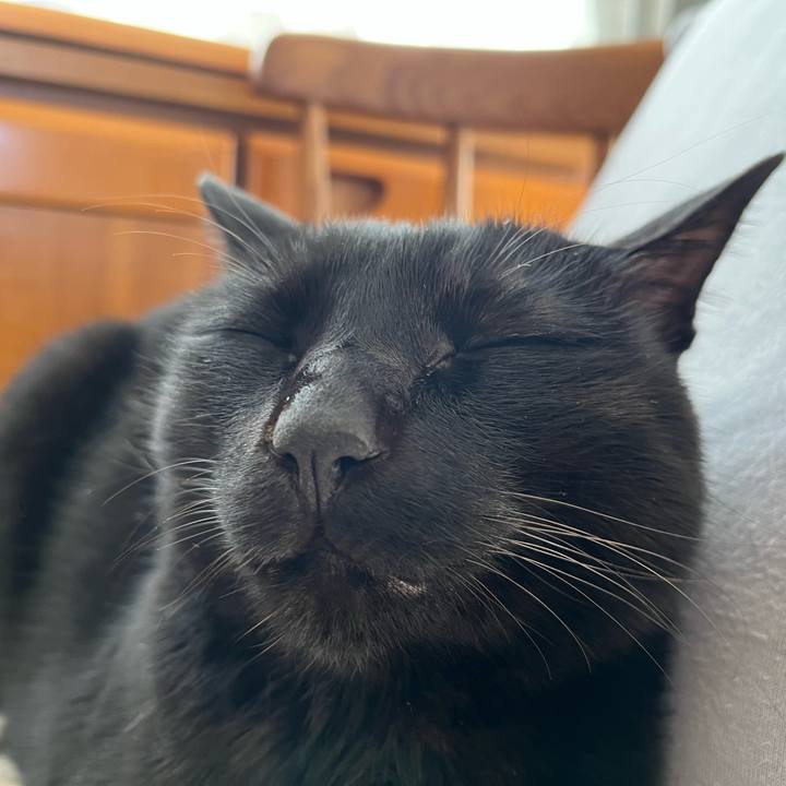 6b46a3f7 4506 4be6 bf18 adba39253e27 1674463612136