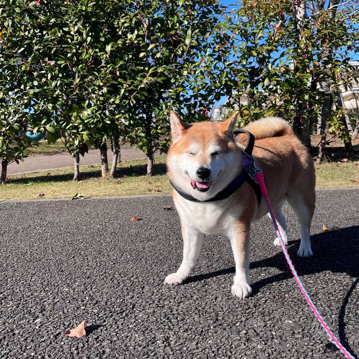 6b46f41a 232e 4e97 b0f3 17fd7279d0b2 1702436925339