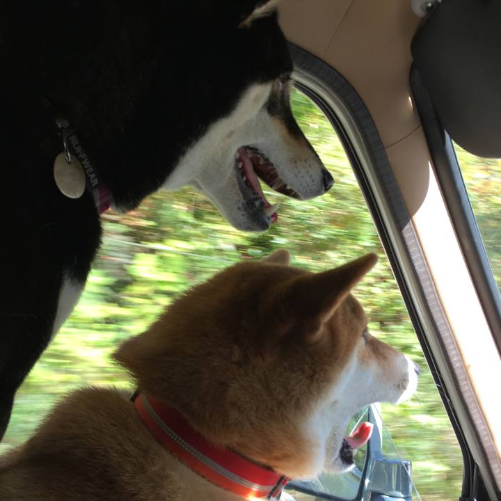 6b46f653 3146 490b bbd3 282c3e81b460 1540351858644