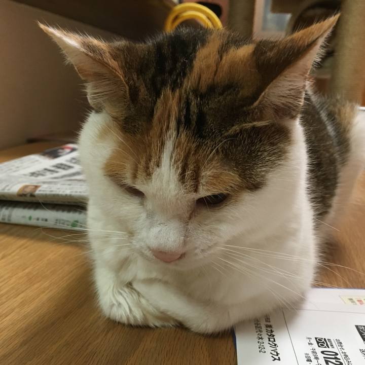 6b4703bd 0f66 48d8 9a29 a9dc44309dc7 1538131994350