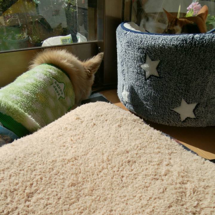 6b4714e7 0370 43bc 8e3b 479f339e20f3 1512531446859