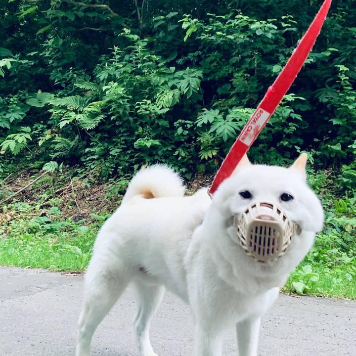 6b474193 13a1 4c29 9f45 39c0aca59bd7 1594498988069