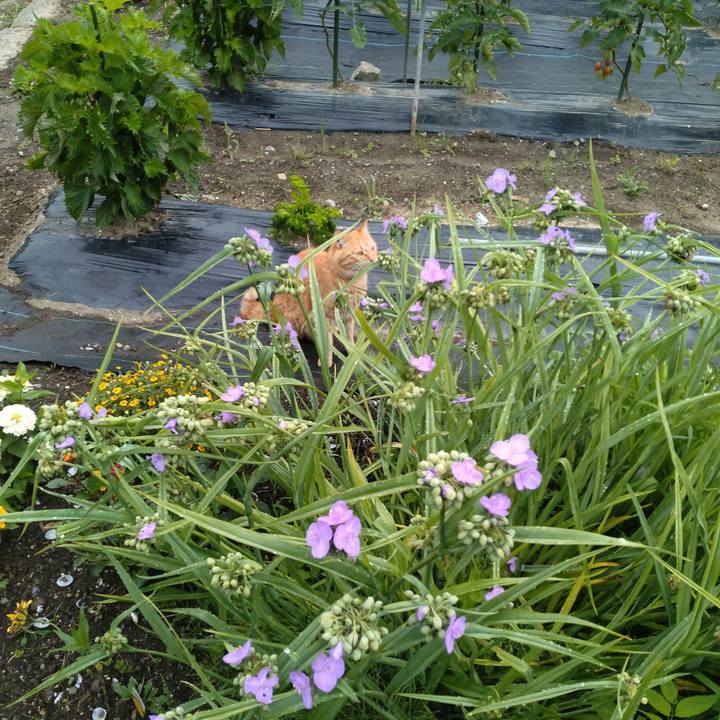 6b474522 8a37 414f 86a0 59be12904b91 1688337332680