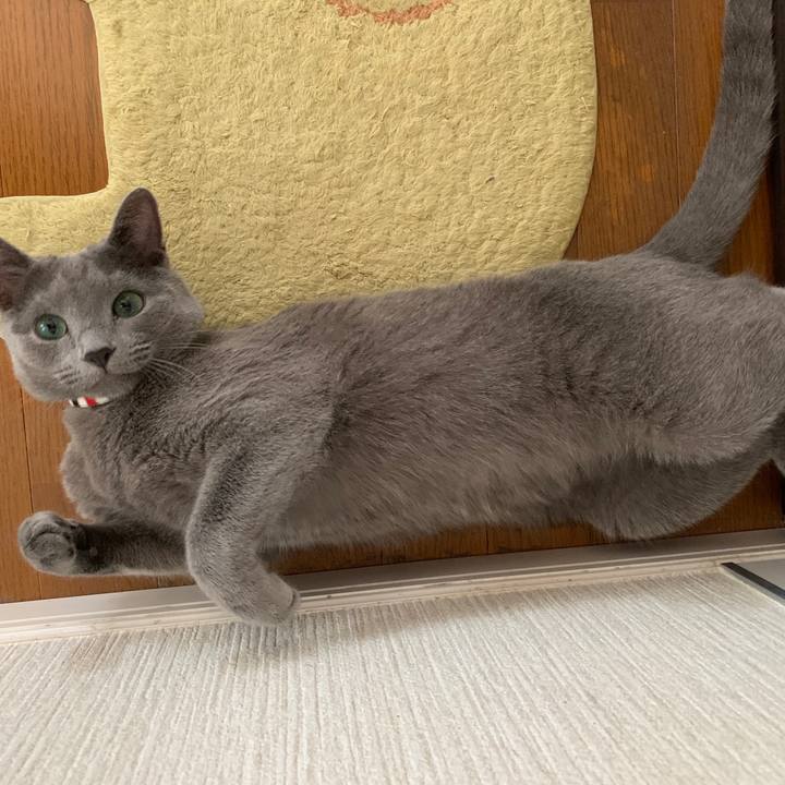 6b477d78 792d 44fc ae4b d9a65dcc3fe5 1588471625706