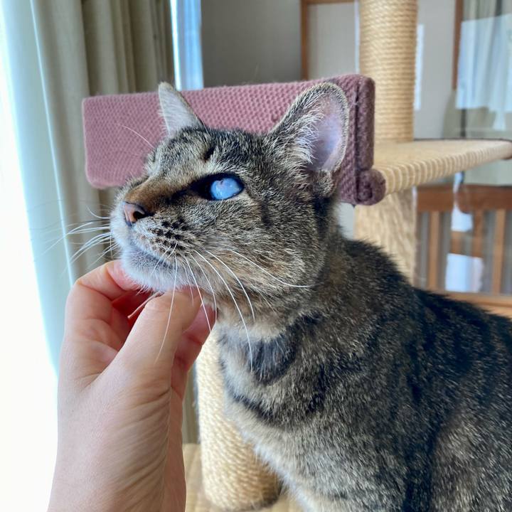 6b4790e6 15b0 4593 89bb 98a6581276fe 1675475194314