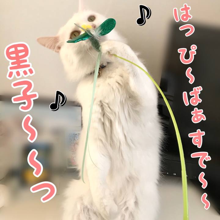 6b47ad34 7f7a 4a0e bb2e 3df9bc346f7c 1582714960131