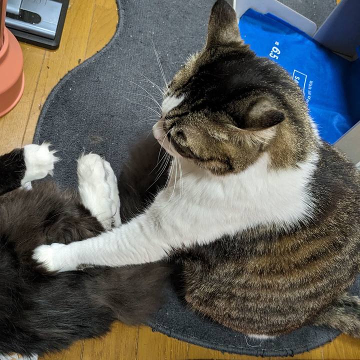 6b47f51a 9dca 44f0 be6c 69ac8f8974ff 1708769827116