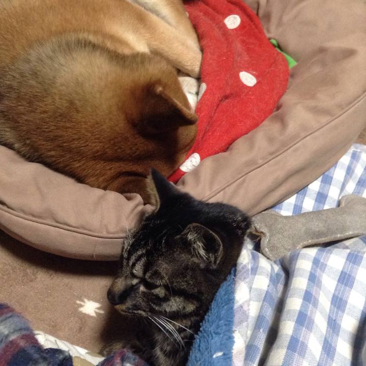 6b47fc8f 122b 43a3 8364 c11c9715f7be 1548251051383